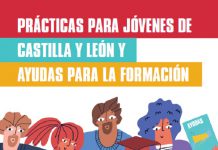 Guía de prácticas para jóvenes de Castilla y León y ayudas para la formación Prácticas para jóvenes de Castilla y León y Ayudas para la Formación