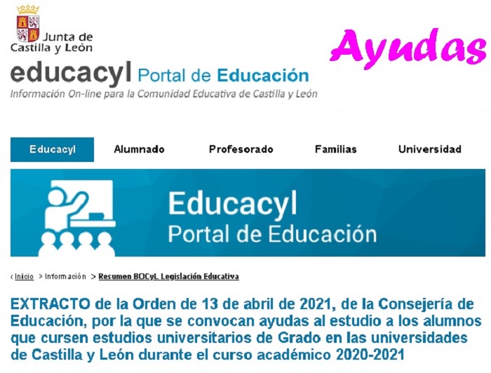 Ayudas al estudio a los alumnos que cursen estudios universitarios de Grado en las universidades de Castilla y León durante el curso académico 2020-2021.
