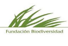 24 Becas de Formación en la Fundación Biodiversidad.
