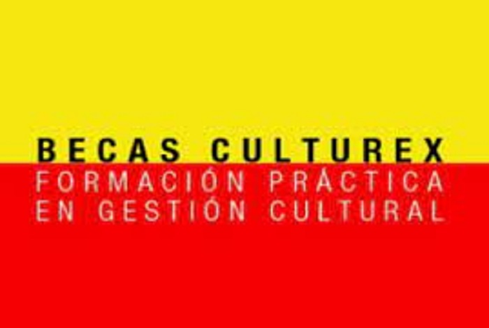 12 Becas CULTUREX de formación práctica en gestión cultural para jóvenes españoles en el exterior.