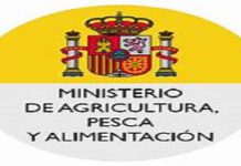 5 Becas de formación práctica en materia de recursos pesqueros y economía financiera.