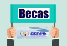 Becas Fundación SEPI – CESA-FP 2024.