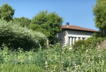 La Fundación Cerezales ofrece Visitas Dialogadas este verano