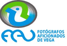 PRIMER RALLY FOTOGRÁFICO NAVIA DESDE TU MÓVIL y SALÓN NACIONAL NAVMÓVIL.