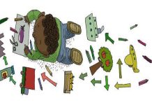 Concurso de carteles del día mundial de la alimentación.