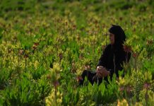 Documental del mes «EL ÚLTIMO CANTO NÓMADA»,en el Albéitar, miércoles 5 noviembre; 20,30 h