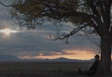 «Nuevos Horizontes», doc. del mes en el Albéitar, domingo 1 marzo; 19,30 h