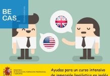 Ayudas para un curso intensivo de inmersión lingüística en inglés en verano