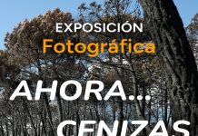 Exposición fotográfica «Ahora… Cenizas», en la sede del COAL