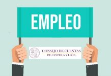 1 puesto temporal de Ayudante de Auditoria para el Consejo de Cuentas de CyL