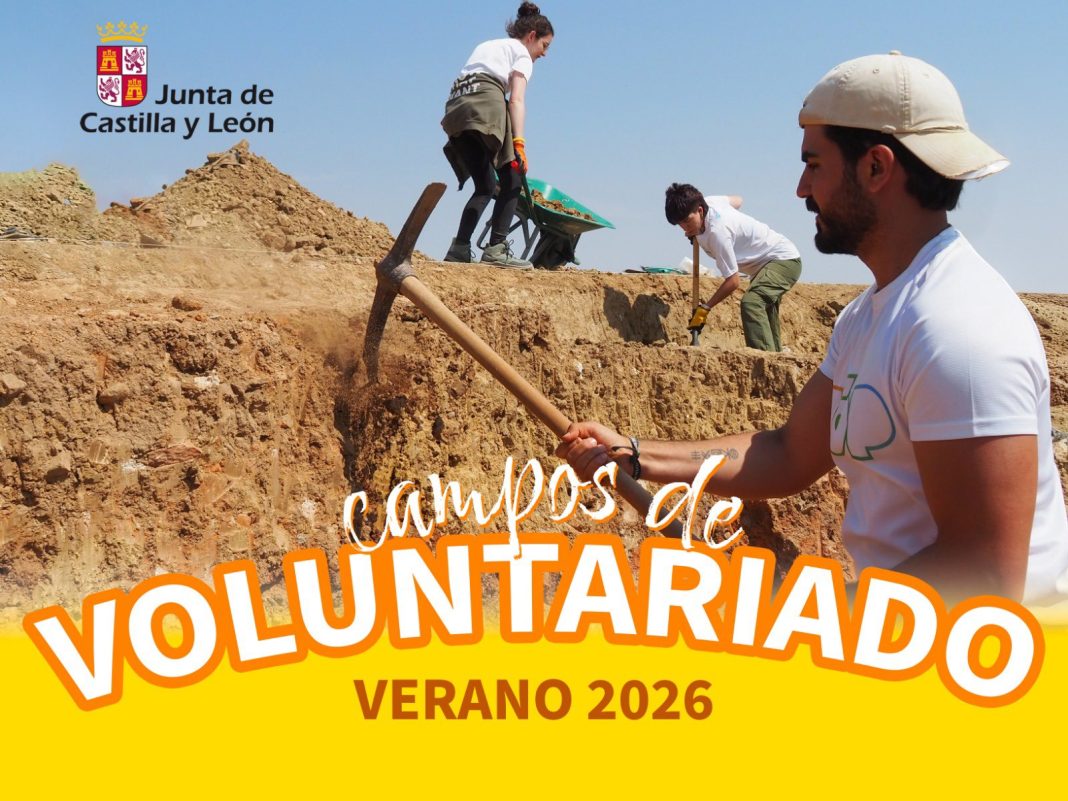 campos voluntariado castilla y leóin
