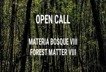Materia Bosque VIII.