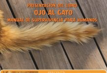 Se presenta el libro: «Ojo al gato: manual de supervivencia para humanos»