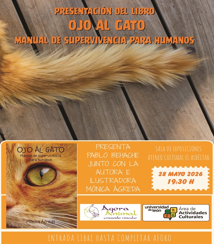 gato