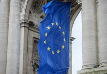 Guía de prácticas en instituciones y organismos de la Unión Europea Guía de prácticas en instituciones y organismos de la Unión Europea