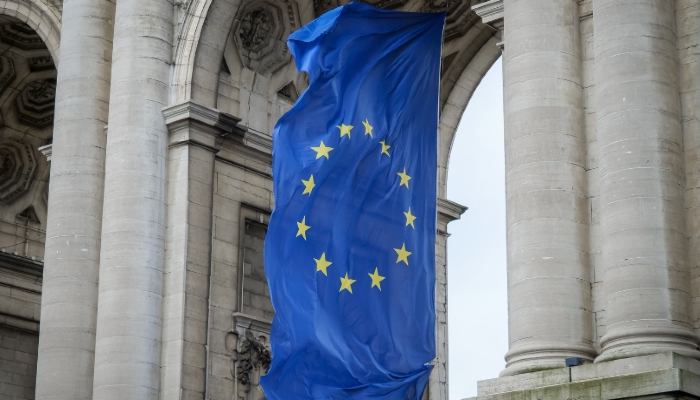 Guía de prácticas en instituciones y organismos de la Unión Europea Guía de prácticas en instituciones y organismos de la Unión Europea