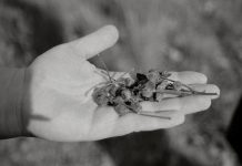 Micología, actividad formativa y práctica en Cerezales