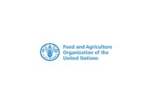 Prácticas profesionales en la FAO ( ONU).